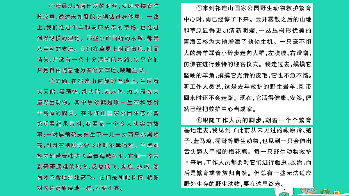 18067102第3页