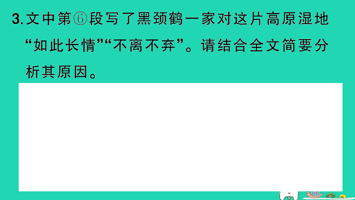 18067102第7页