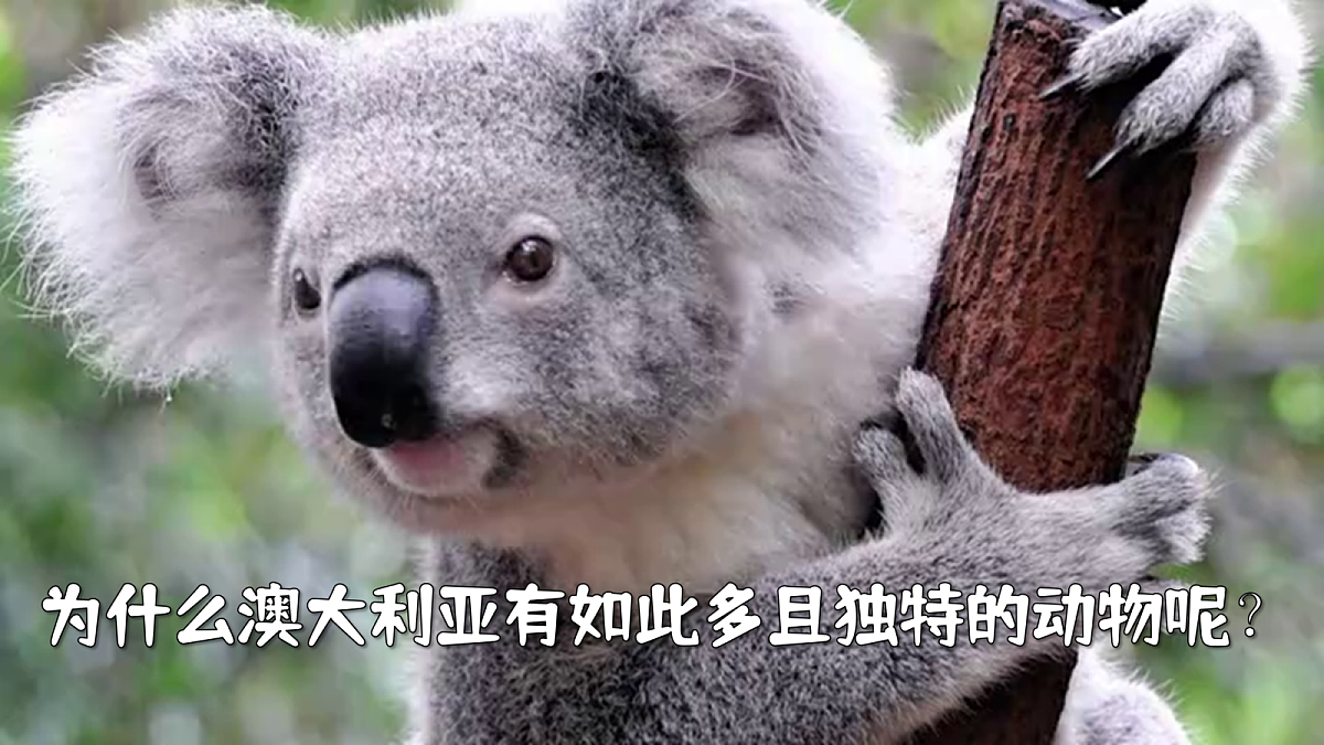 18068089第3页