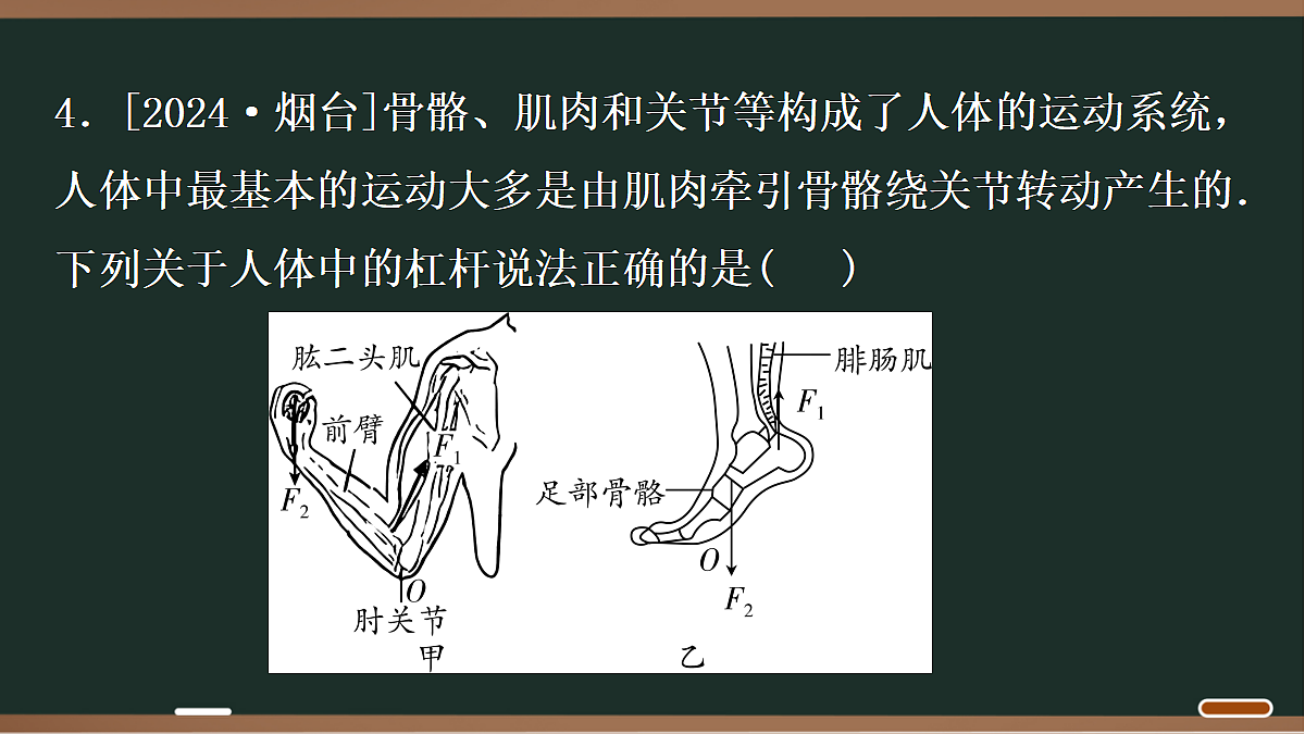 18071756第5页