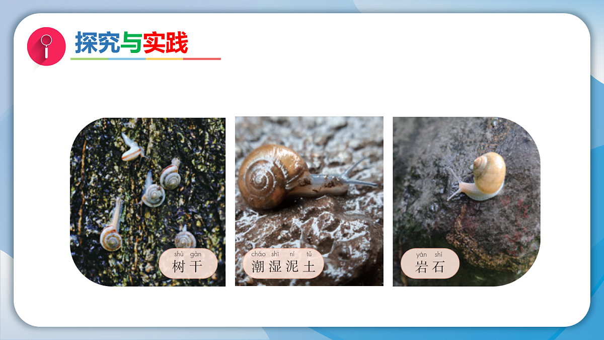 18072255第4页