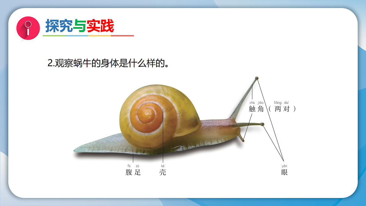 18072255第5页
