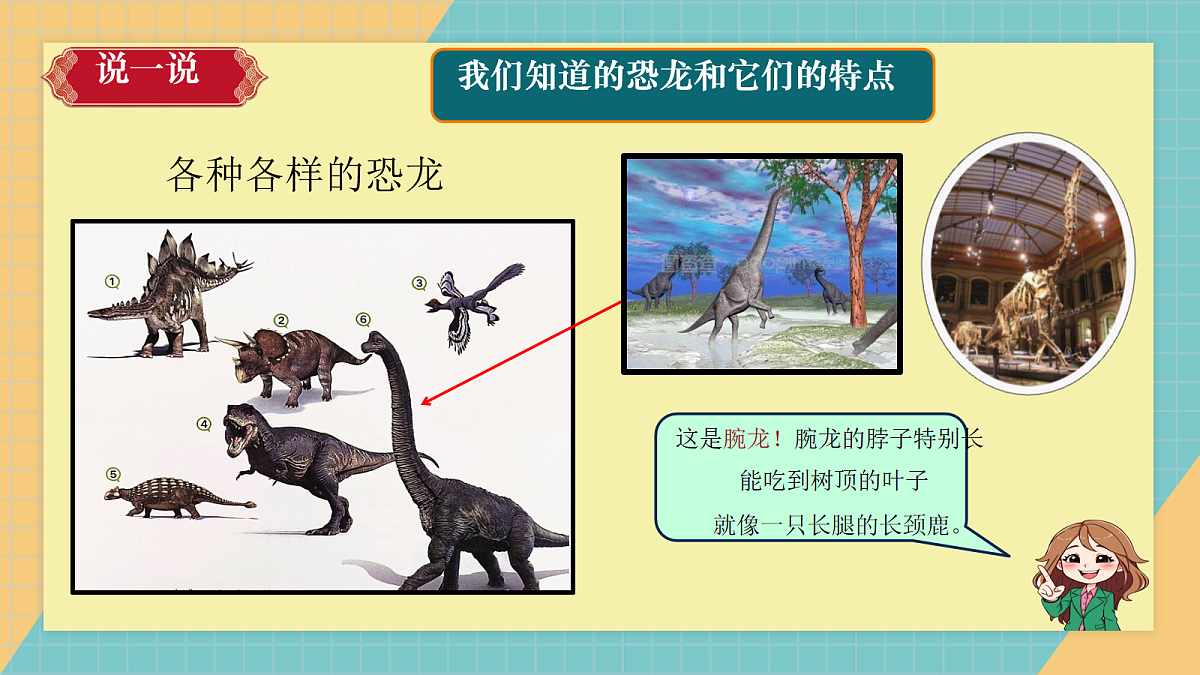 18072555第5页