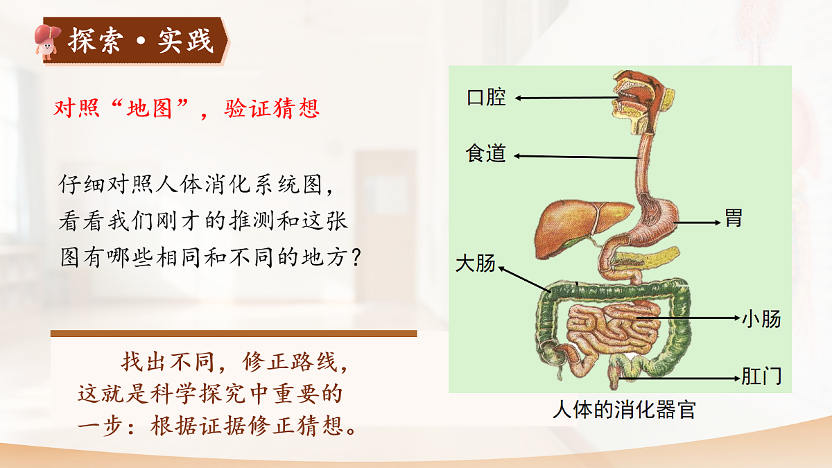 18076916第5页