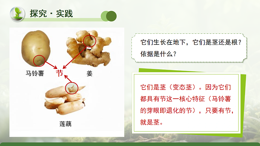 18076917第8页