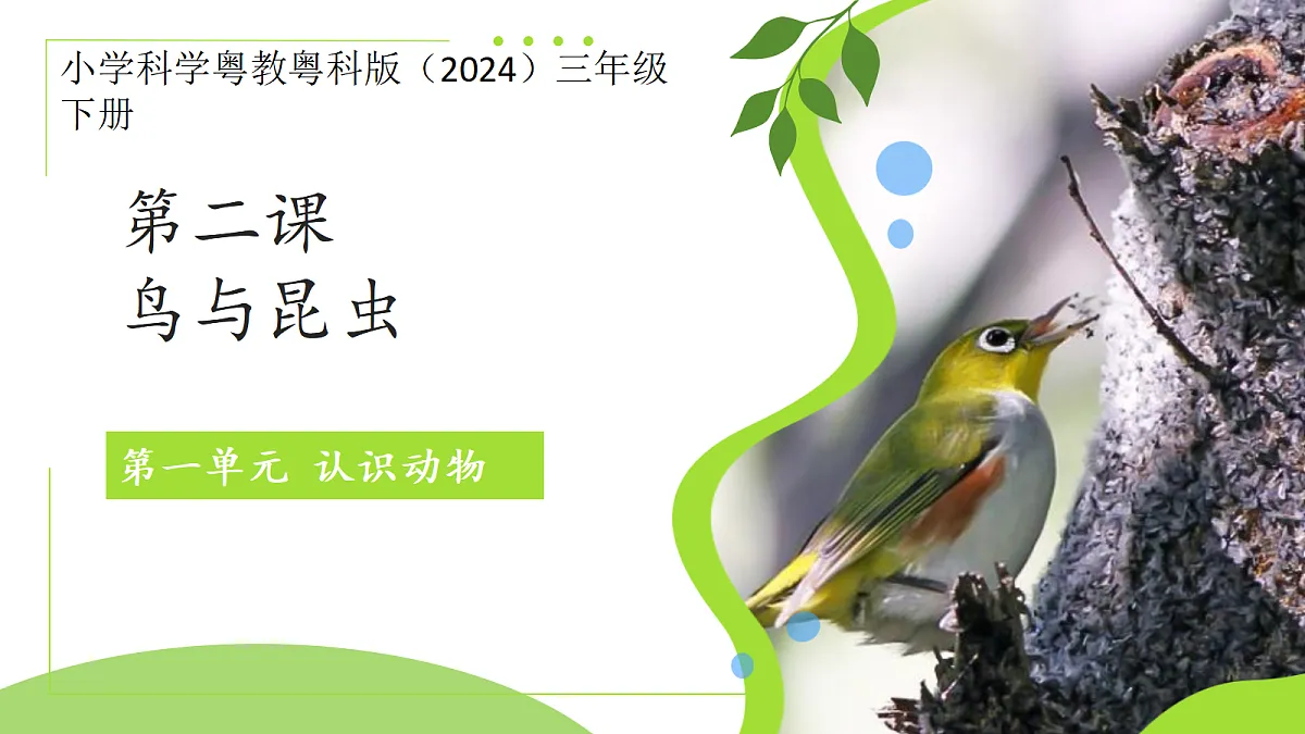 18076951第1页