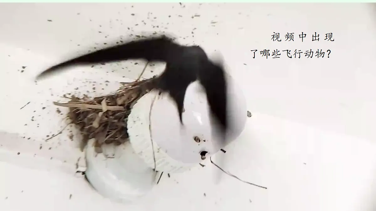 18076951第2页