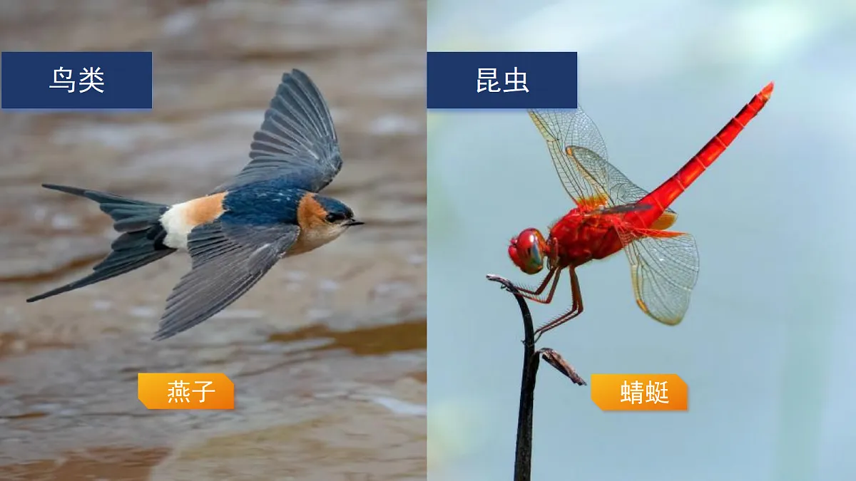 18076951第3页