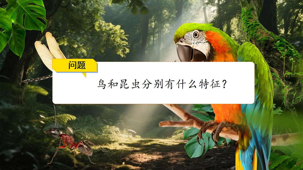 18076951第4页