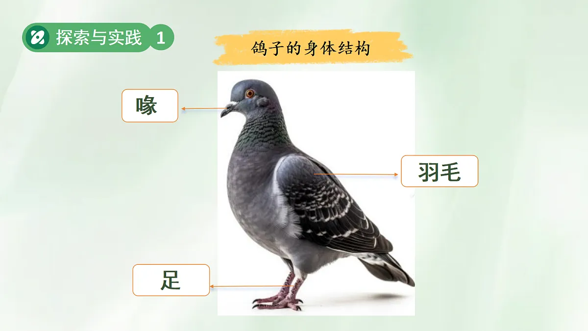 18076951第6页
