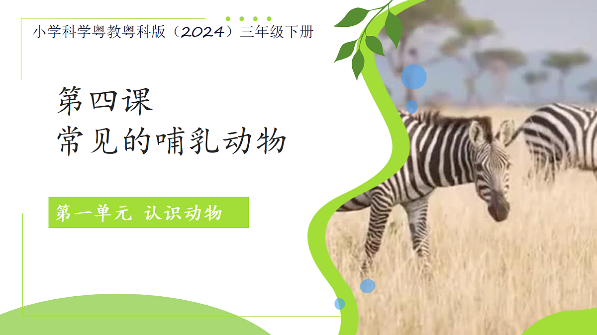18076953第1页