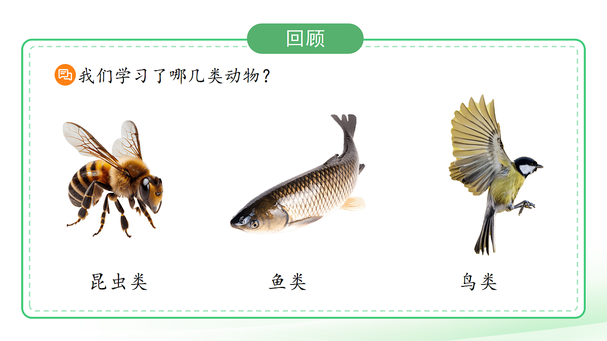 18076953第2页