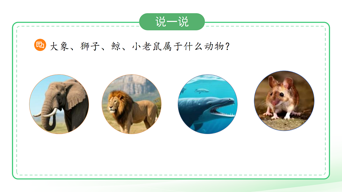 18076953第3页
