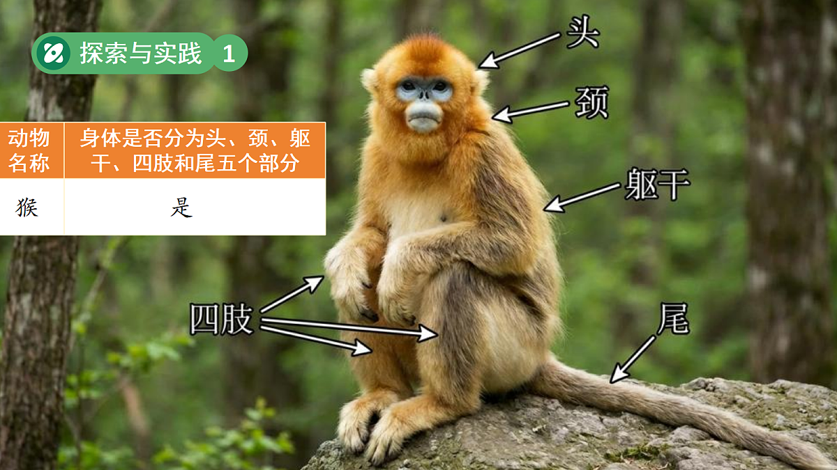 18076953第6页