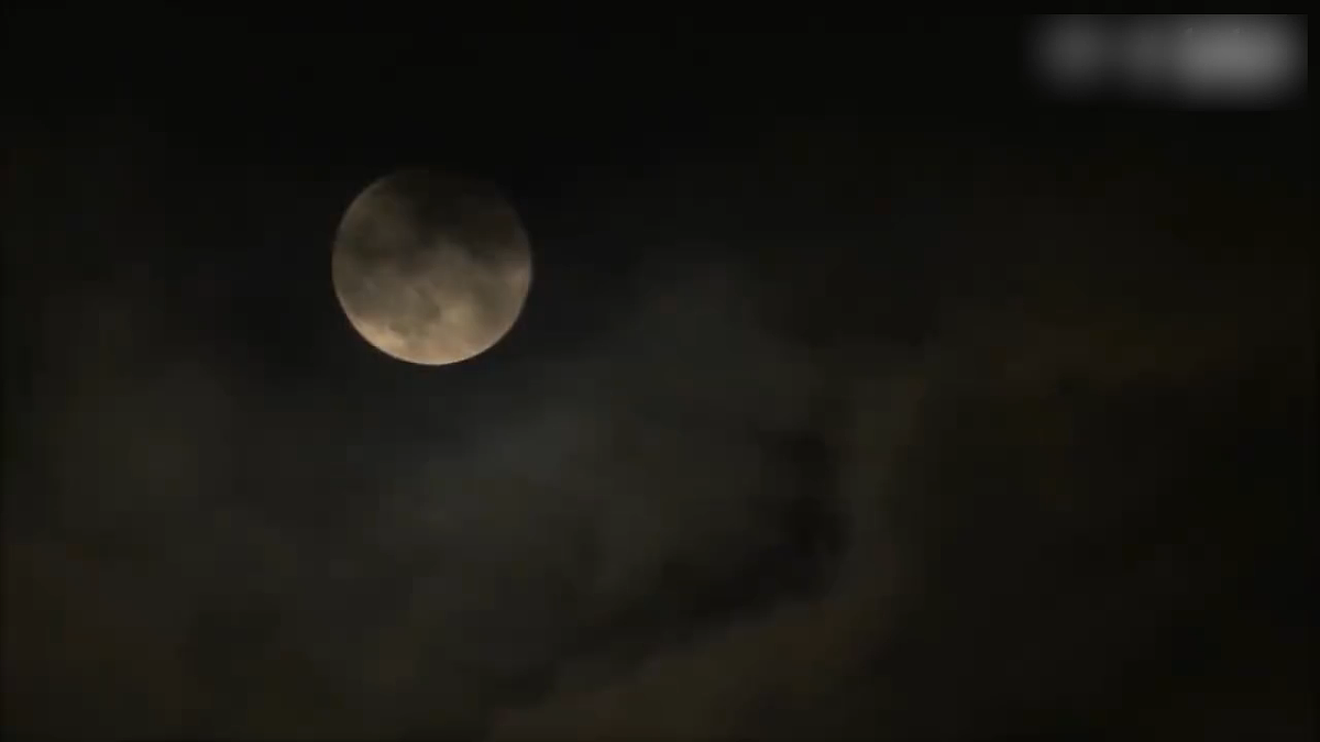 18077287第1页