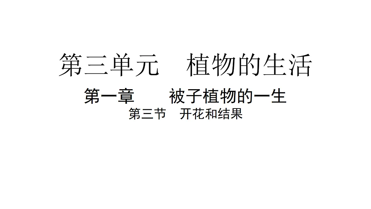 18077838第1页