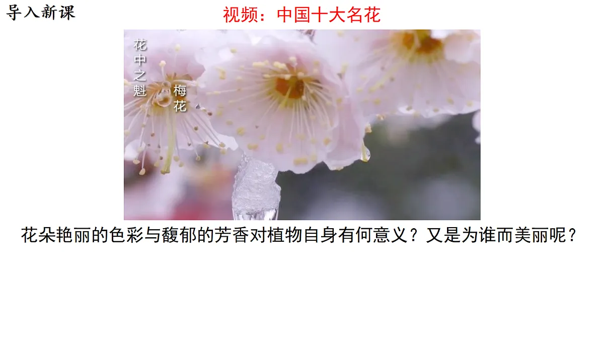 18077838第2页
