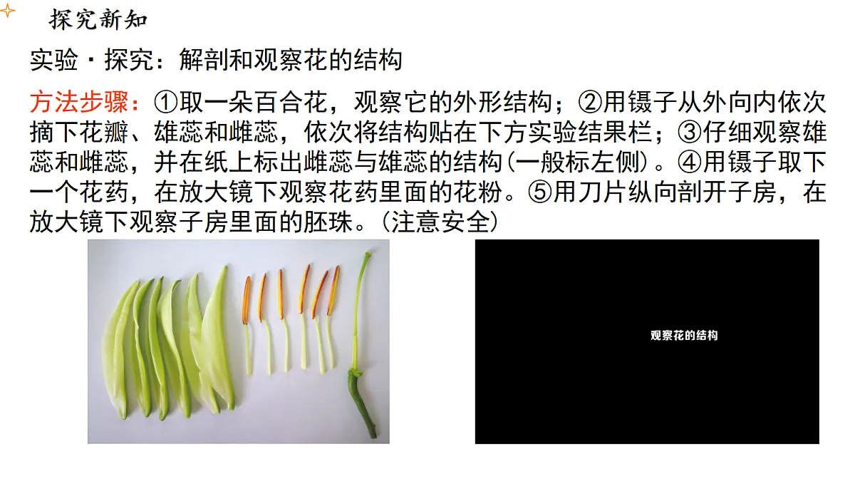 18077838第3页