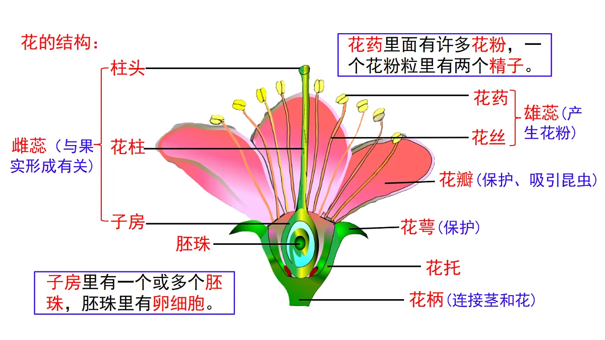 18077838第4页