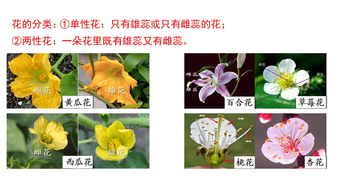 18077838第5页