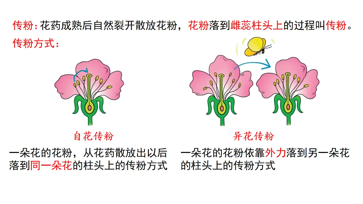 18077838第7页