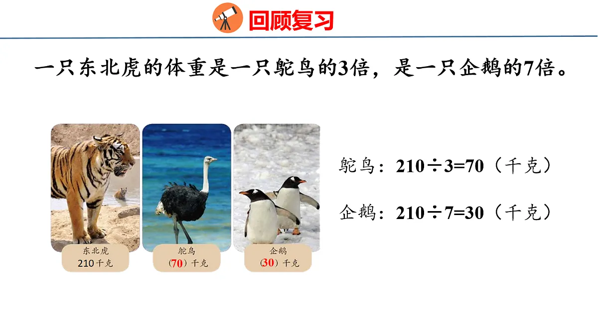 18077936第3页