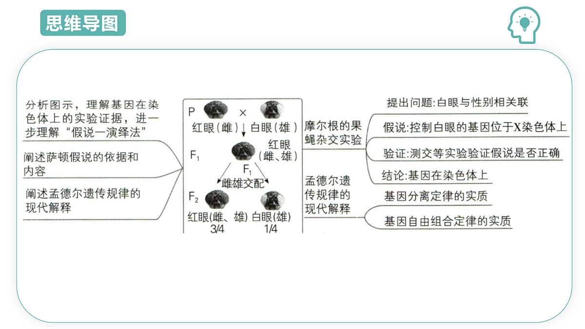 18078212第3页