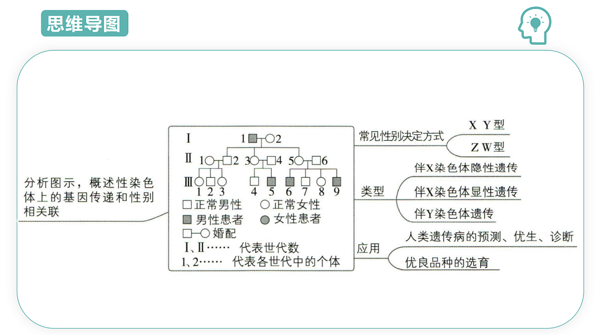 18078213第3页