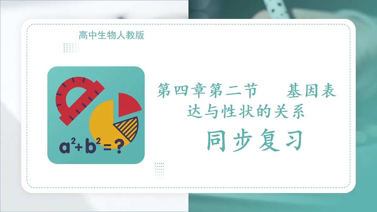 18078219第1页