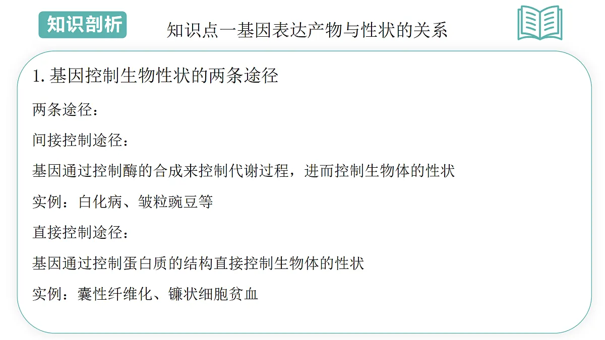 18078219第5页
