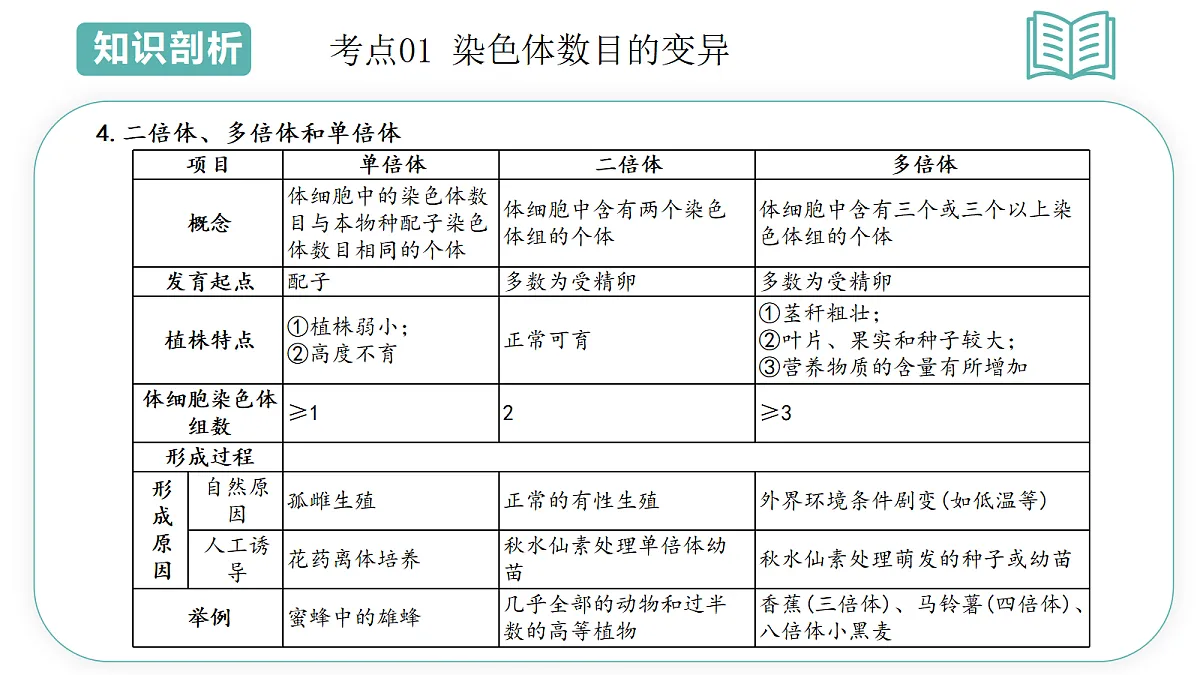 18078222第7页