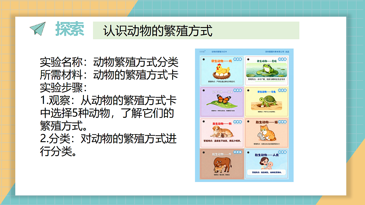 2-2《动物的繁殖》第3页