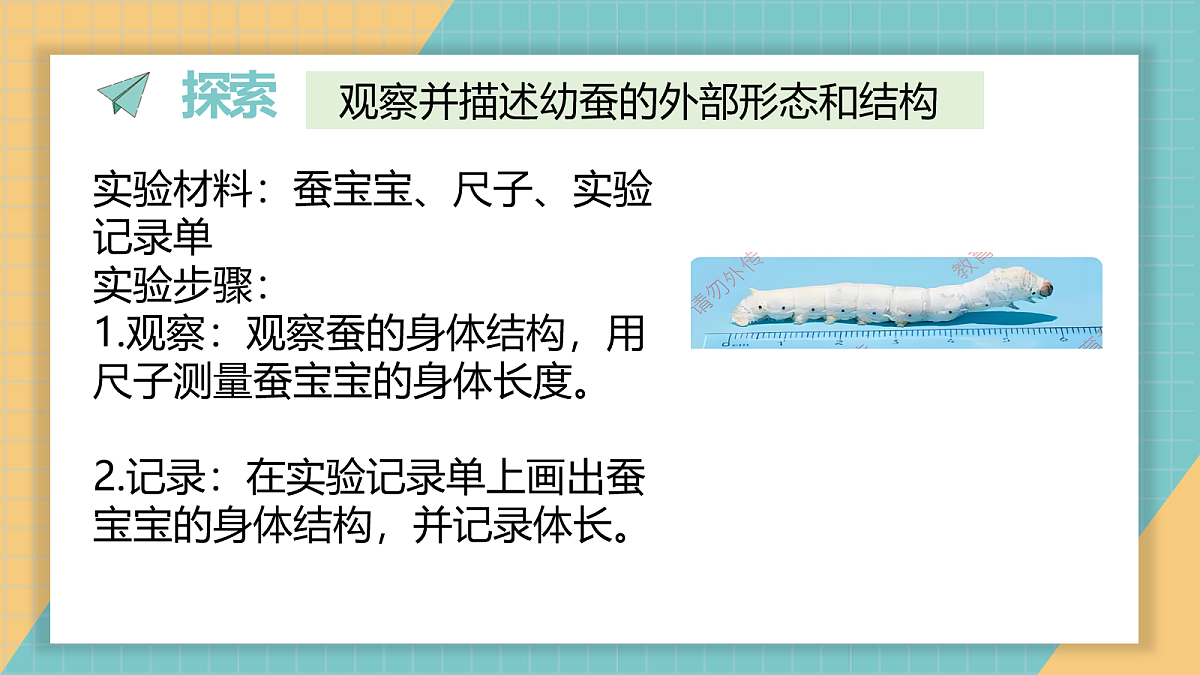 2.4《幼蚕在生长》第4页