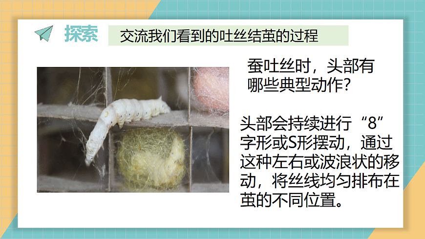 2-5《蚕变了新模样》第5页