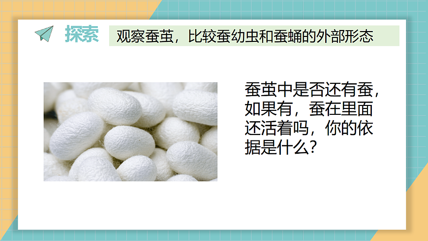 2-5《蚕变了新模样》第6页