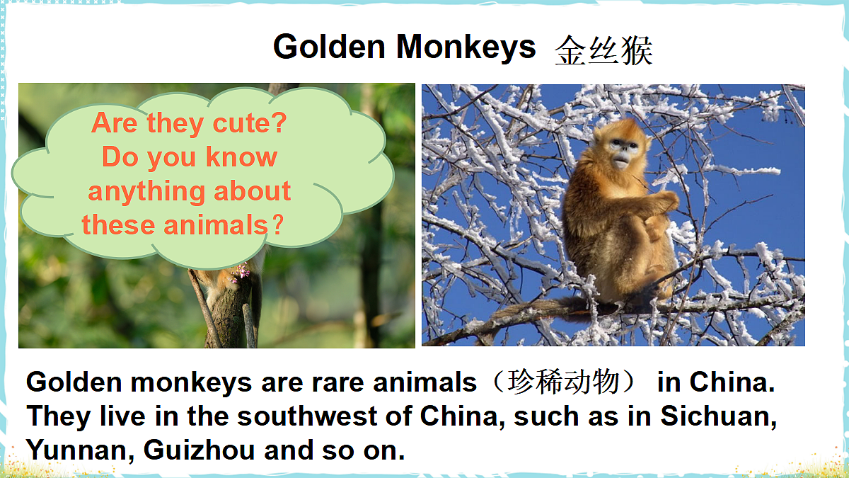 Golden Monkeys第4页