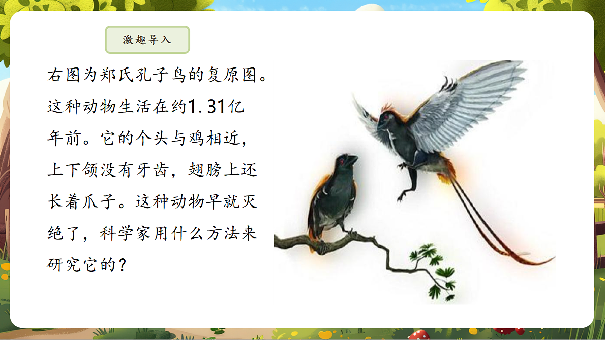 6.3.2 生物进化的历程 课件第5页