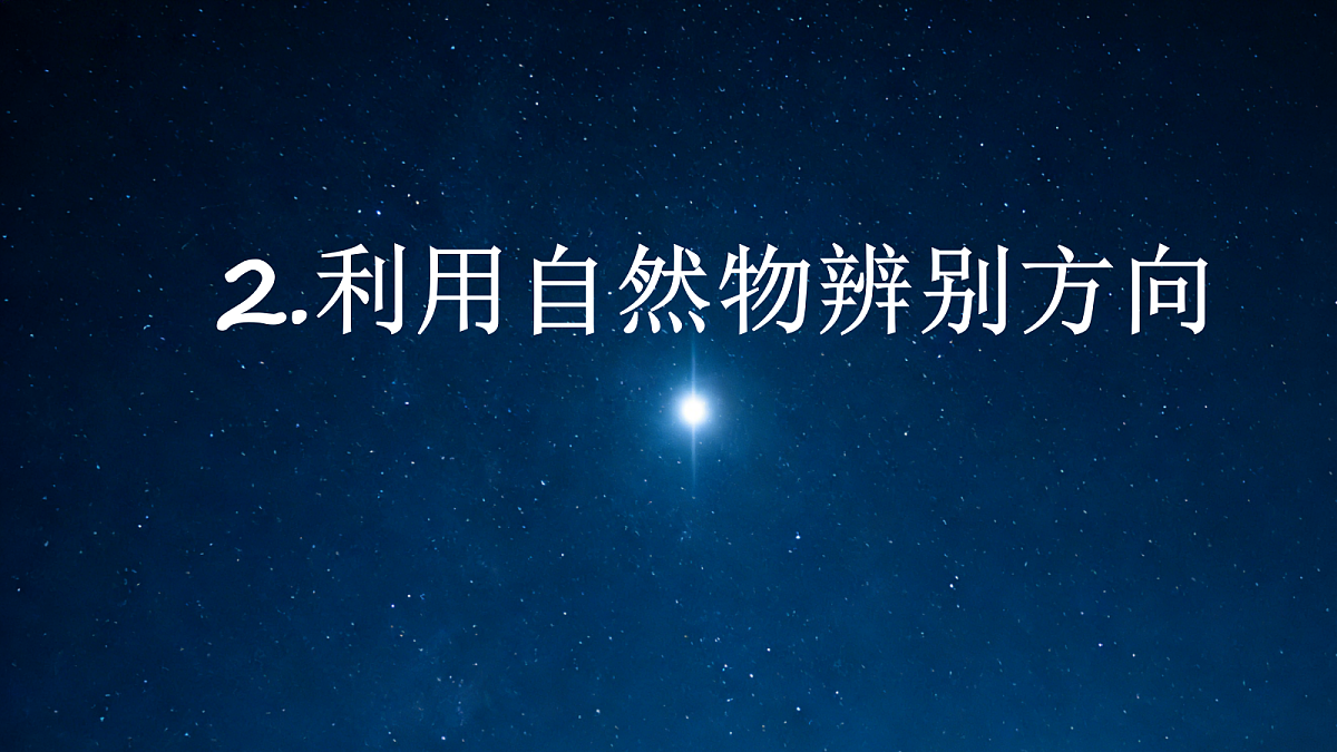 18084346第1页