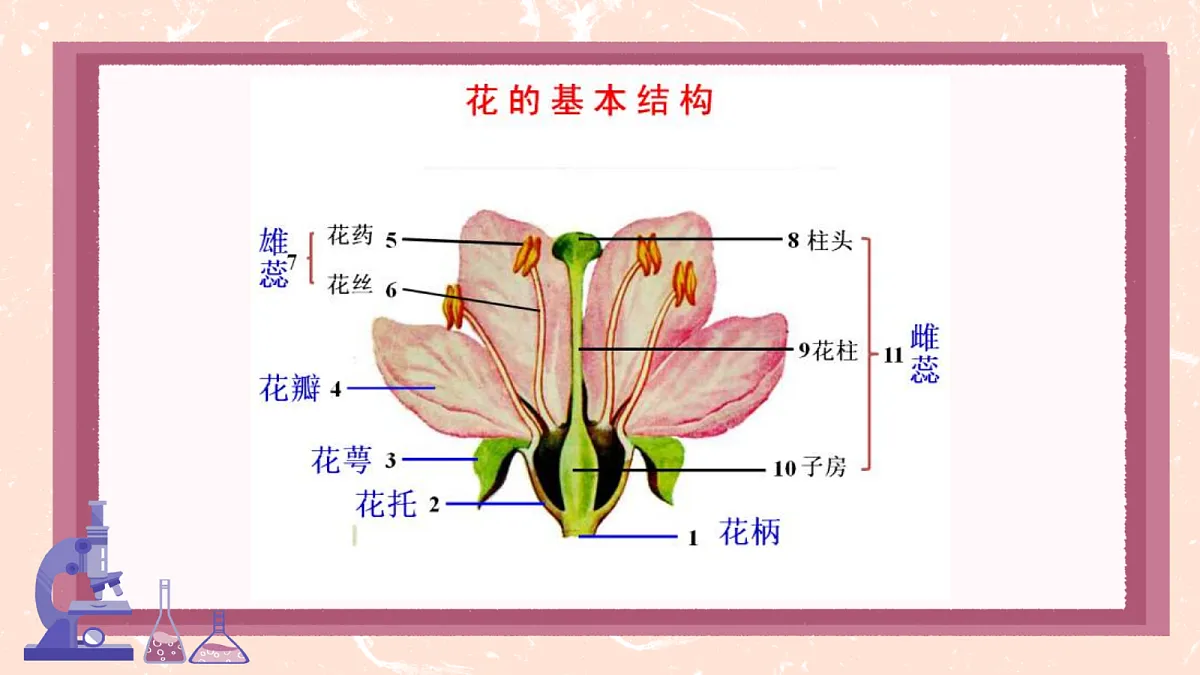 18085568第6页