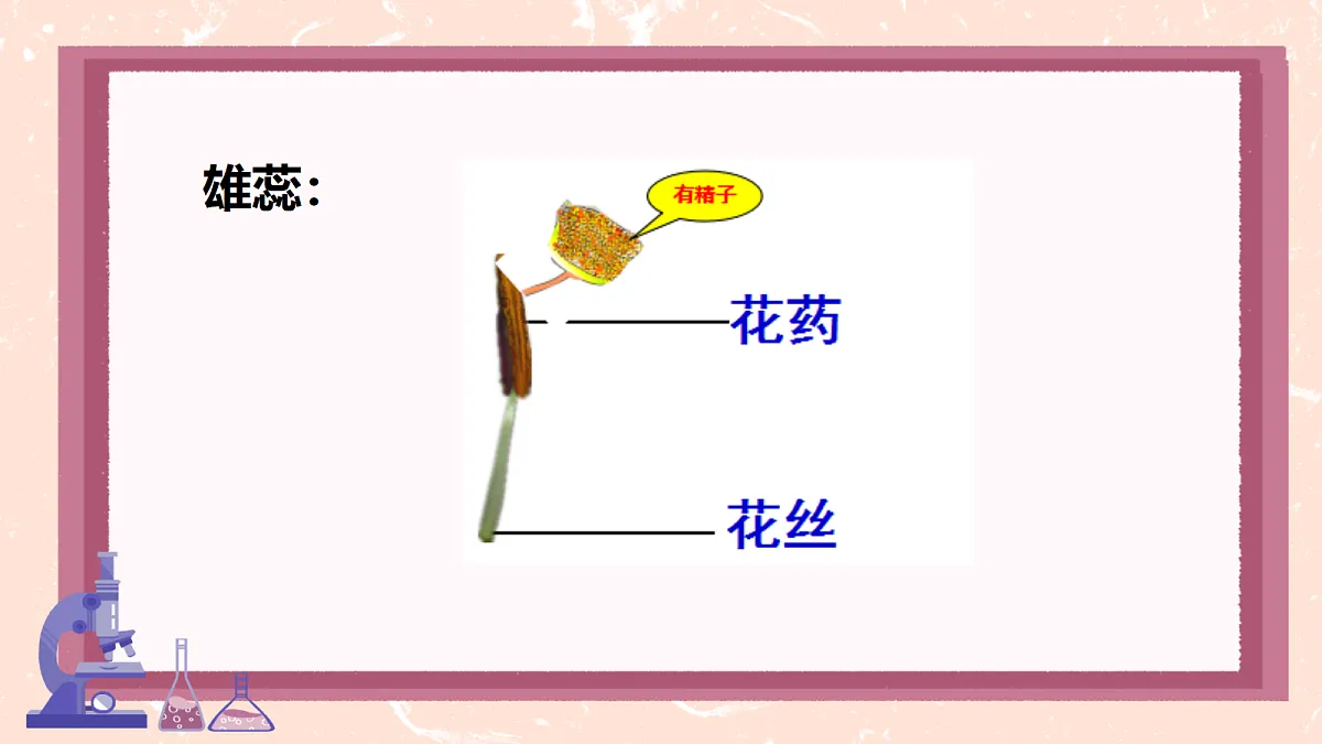 18085568第7页