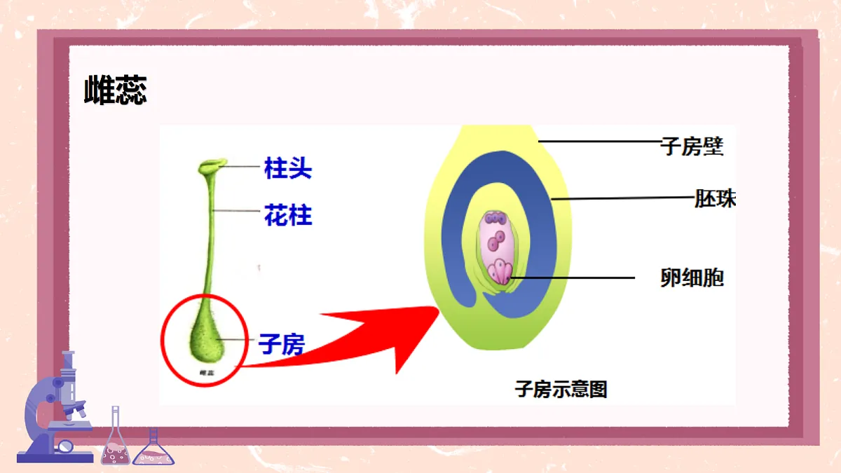 18085568第8页