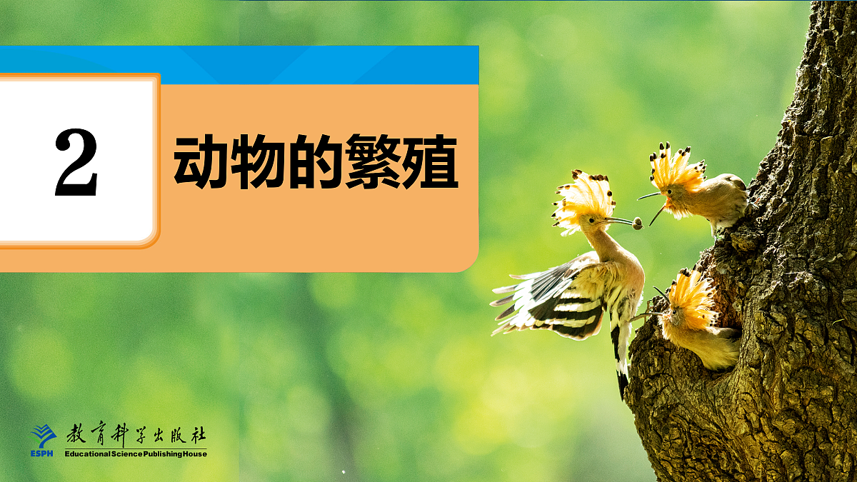 18087580第1页