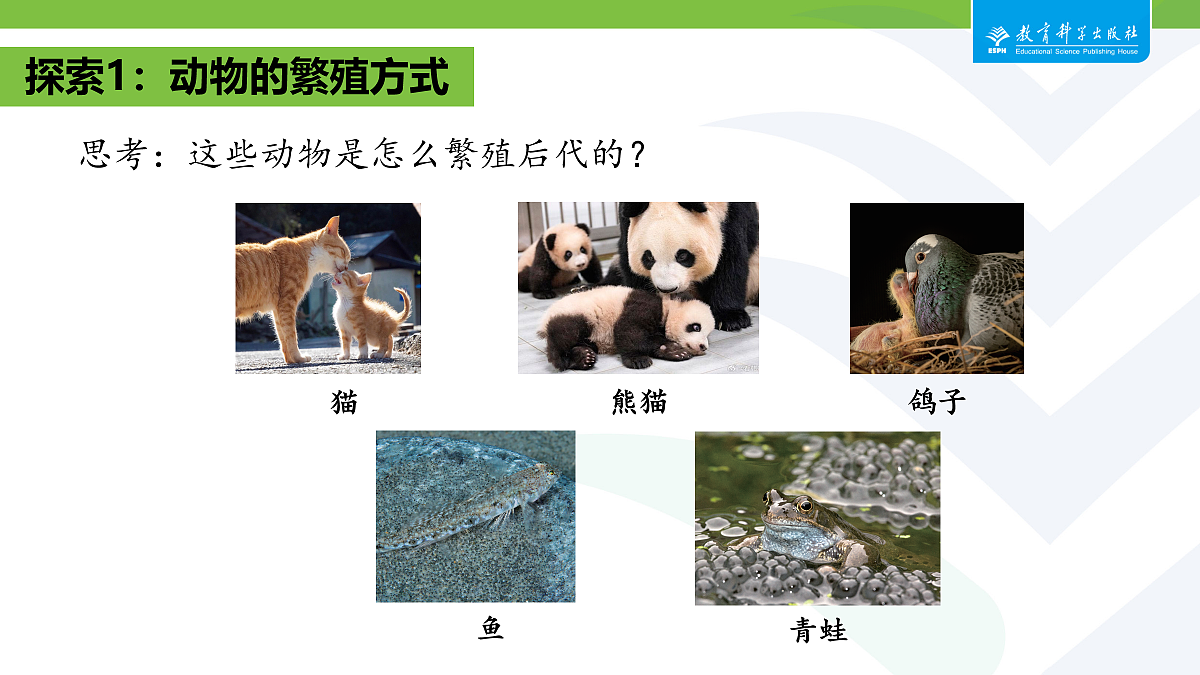 18087580第4页