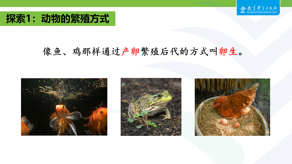 18087580第5页
