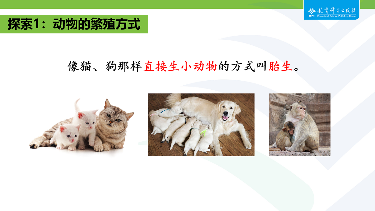 18087580第6页