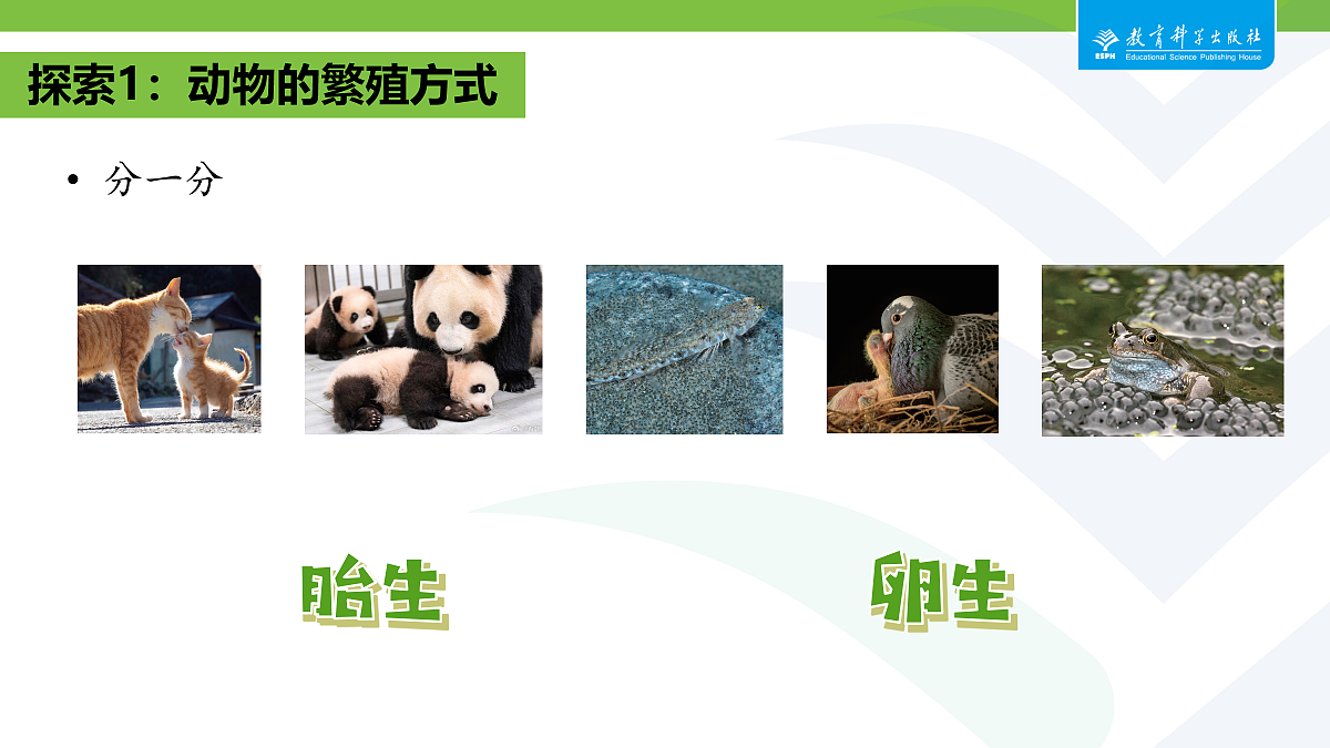 18087580第7页