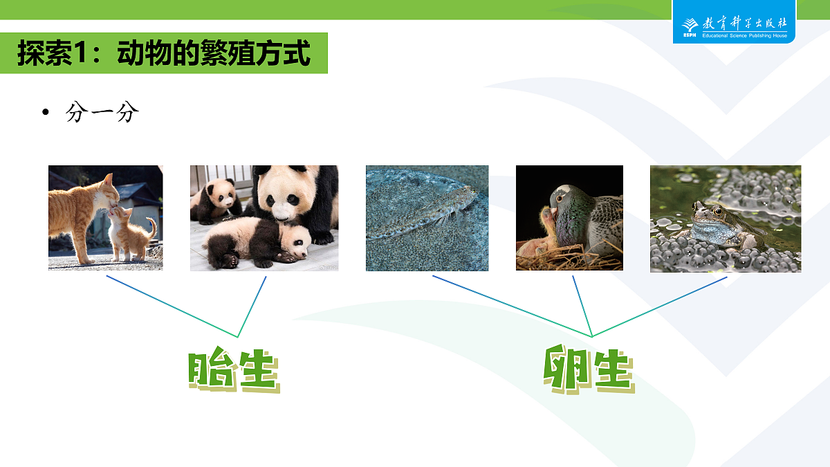 18087580第8页