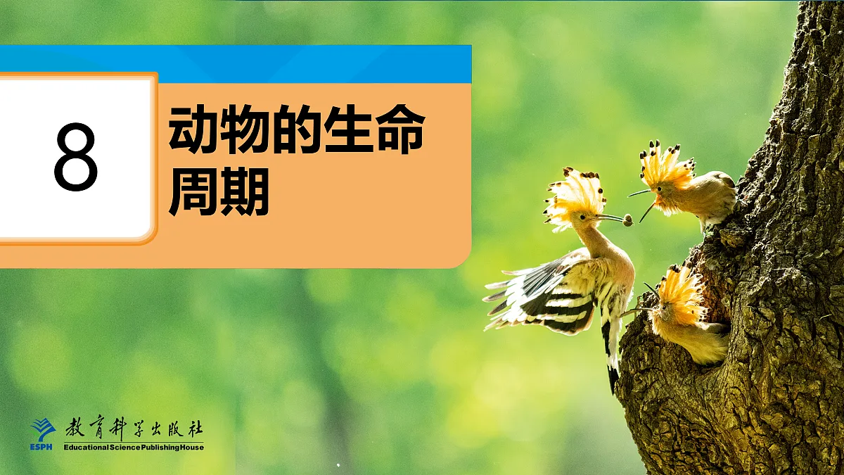 18087585第1页