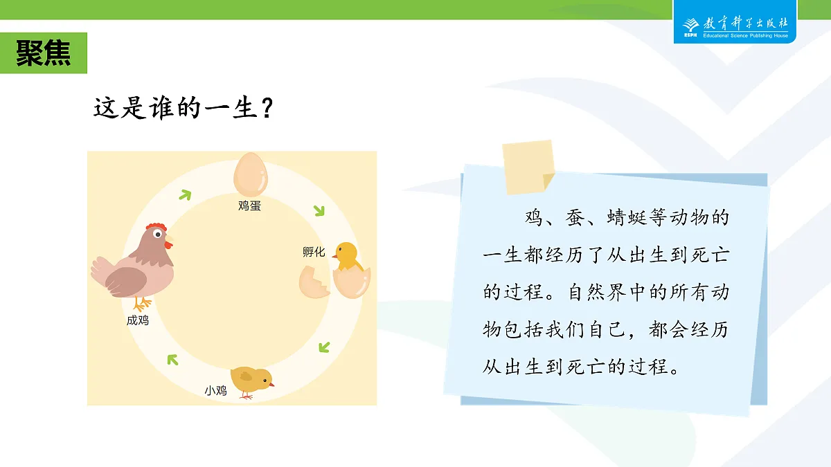 18087585第2页