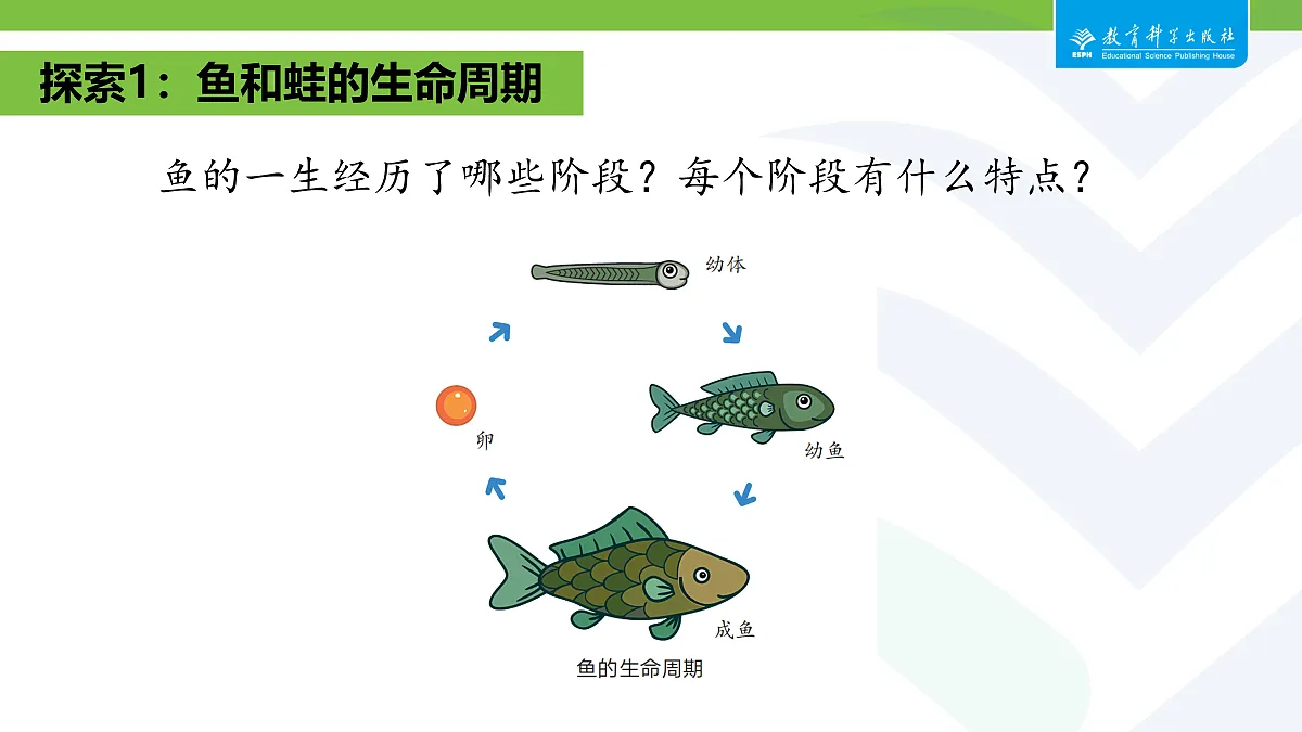 18087585第3页